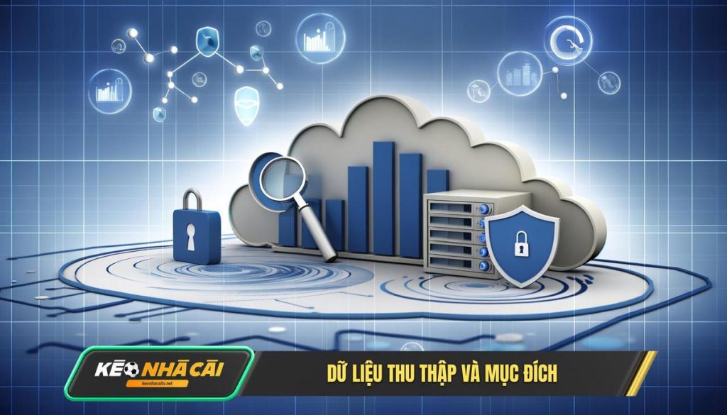 Chúng tôi thu thập những dữ liệu nào và vì mục đích gì_