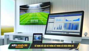 Sử dụng dữ liệu và thống kê trong cá cược bóng đá